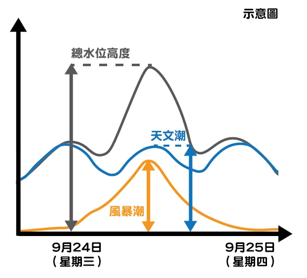 樺加沙直撲香港？五大天氣AI預報對比